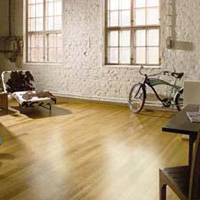 Barlinek&#8211;   1,3- 