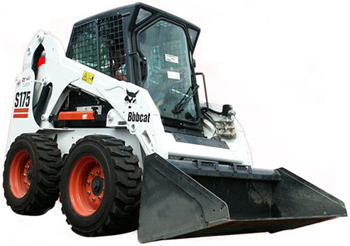  bobcat